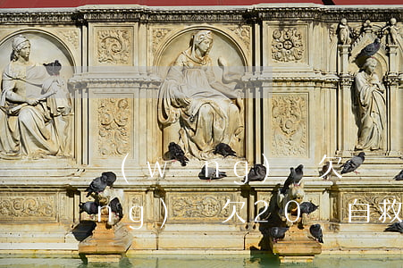 網(wǎng)貸欠兩萬自救方法(網(wǎng)貸欠20萬自救方法)