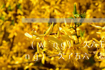 網(wǎng)貸欠六千好大壓力(網(wǎng)貸欠了五六萬怎么辦)