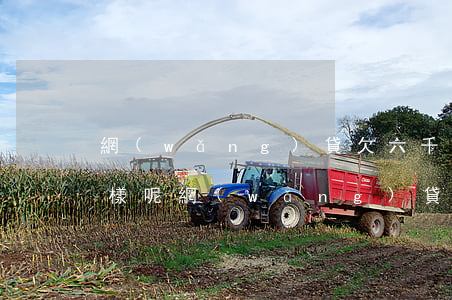 網(wǎng)貸欠六千會(huì)怎么樣呢(網(wǎng)貸六千不還會(huì)怎樣)