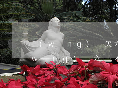 網(wǎng)貸欠六萬影響房貸嗎(欠網(wǎng)貸六萬不還會怎么樣)