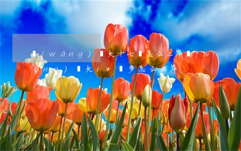 網(wǎng)貸欠十七萬怎么上岸(網(wǎng)貸欠14萬多,怎么上岸)