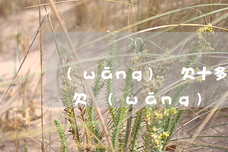 網(wǎng)貸欠十多萬(wàn)怎么辦(欠網(wǎng)貸10多萬(wàn)怎么辦)