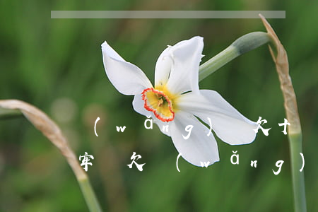 網(wǎng)貸欠十幾萬(wàn)要坐牢嗎(欠網(wǎng)貸幾十萬(wàn)會(huì)判刑嗎)