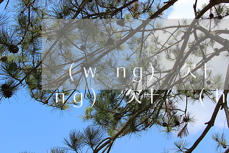 網(wǎng)貸欠十幾萬判幾年(網(wǎng)貸欠十萬會(huì)不會(huì)判刑)