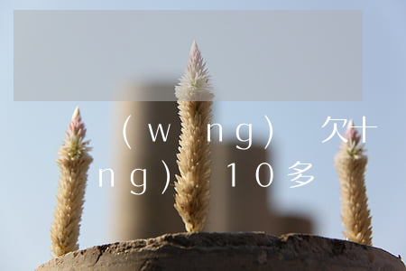 網(wǎng)貸欠十幾萬法院(欠網(wǎng)貸10多萬)