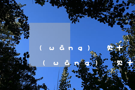 網(wǎng)貸欠十幾萬還不起怎么處理(網(wǎng)貸欠十多萬還不起了怎么辦)