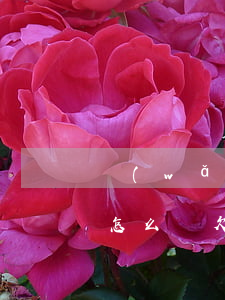 網(wǎng)貸欠十萬(wàn)歡不上怎么辦(欠了二十幾萬(wàn)網(wǎng)貸還不上怎么辦)