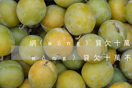 網(wǎng)貸欠十萬不敢跟家里說(網(wǎng)貸欠十萬不敢跟家里說)