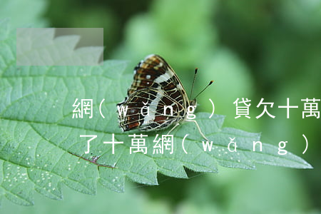 網(wǎng)貸欠十萬父母不幫怎么辦(欠了十萬網(wǎng)貸怎么和父母說)