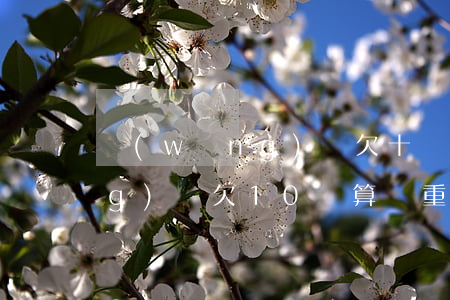 網(wǎng)貸欠十萬算多嗎(網(wǎng)貸欠10萬算嚴重嗎)