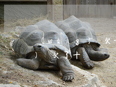 網(wǎng)貸欠十萬逾期(網(wǎng)貸欠了十萬)