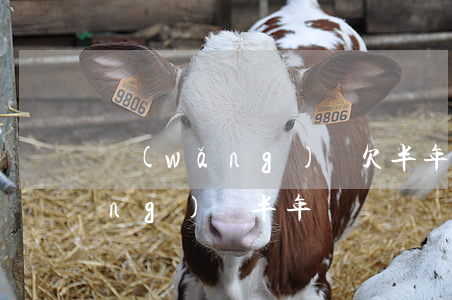網(wǎng)貸欠半年會怎么樣(網(wǎng)貸半年沒還)