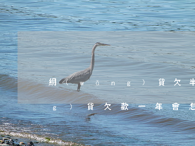 網(wǎng)貸欠半年有事嗎(網(wǎng)貸欠款一年會怎么樣)