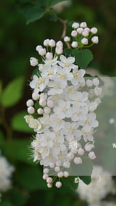 網(wǎng)貸欠半年被起訴(網(wǎng)貸欠半年被起訴)