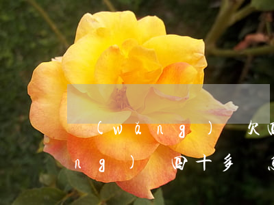 網(wǎng)貸欠四十萬怎么還(網(wǎng)貸四十多萬怎么還)
