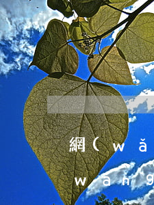 網(wǎng)貸欠四千不還會怎么樣(網(wǎng)貸欠4千不還會怎么樣)