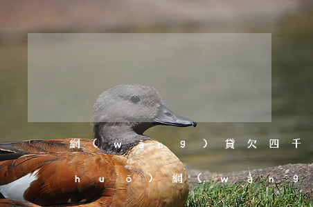 網(wǎng)貸欠四千元怎么和家說(shuō)(網(wǎng)貸欠錢了怎么和家里說(shuō))
