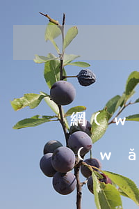 網(wǎng)貸欠四千塊錢法院立案嗎（網(wǎng)貸欠了四千算多嗎）