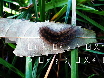 網(wǎng)貸欠四萬還可以貸款嗎(網(wǎng)貸欠4萬多嗎)