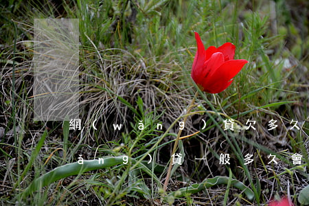 網(wǎng)貸欠多久可以起訴(欠網(wǎng)貸一般多久會被起訴)