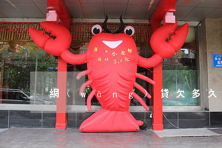 網(wǎng)貸欠多久后就可以不用還了