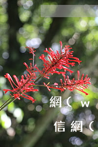 網(wǎng)貸欠多久會(huì)上征信(網(wǎng)貸欠款多久會(huì)上征信)