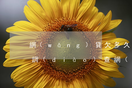 網(wǎng)貸欠多久會(huì)上門調(diào)查(網(wǎng)貸欠款多少會(huì)上門)