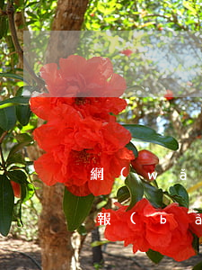 網(wǎng)貸欠多久會(huì)被上報(bào)征信(網(wǎng)貸欠款多久會(huì)上征信)