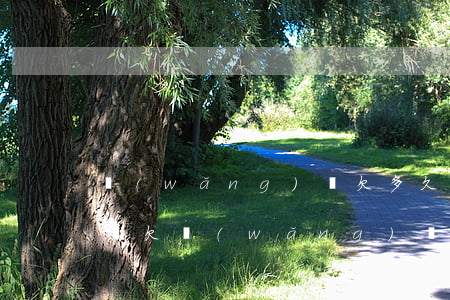 網(wǎng)貸欠多久會(huì)被催還(欠網(wǎng)貸不還被催多久)