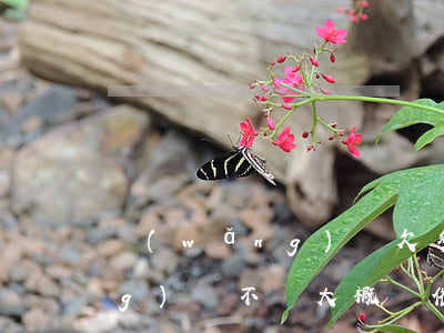 網(wǎng)貸欠多久會催收(網(wǎng)貸不還,大概會催收多久時間?)