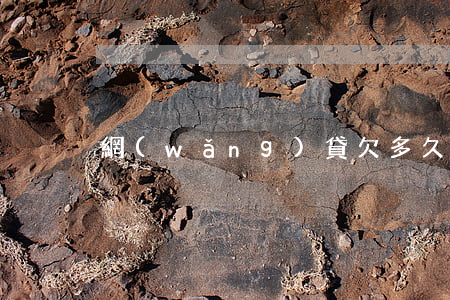 網(wǎng)貸欠多久能到兩萬