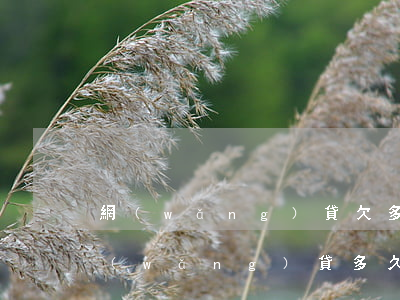 網(wǎng)貸欠多久被拉入黑名單(欠網(wǎng)貸多久會(huì)被拉入黑名單)