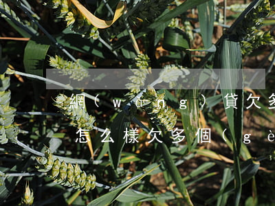 網(wǎng)貸欠多了不還會(huì)怎么樣(欠多個(gè)網(wǎng)貸不還會(huì)怎么樣)