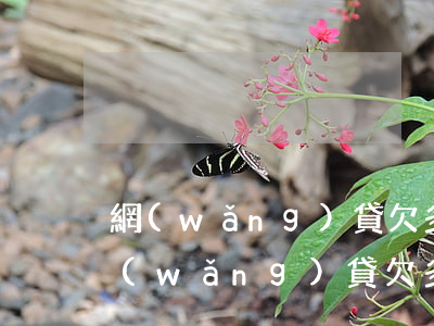 網(wǎng)貸欠多了信用卡可以辦么(網(wǎng)貸欠多了信用卡可以辦么)