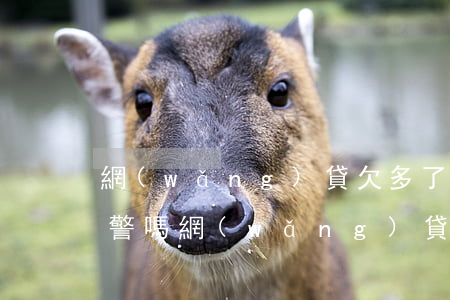 網(wǎng)貸欠多了可以報(bào)警嗎(網(wǎng)貸欠多了可以報(bào)警嗎)