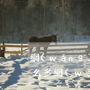 網(wǎng)貸欠多了就辦不了了(欠了那么多網(wǎng)貸怎么辦)