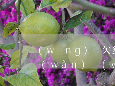 網(wǎng)貸欠多了怎么上岸(欠款十多萬(wàn)網(wǎng)貸,如何上岸)
