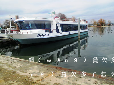 網(wǎng)貸欠多了怎么解決(網(wǎng)貸欠多了怎么辦)