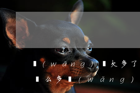 網(wǎng)貸欠多了還不起該怎么辦(欠這么多網(wǎng)貸還不上怎么辦?)