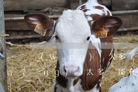 網(wǎng)貸欠多了還能貸嗎(欠網(wǎng)貸太多還能在銀行貸款嗎)