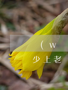 網(wǎng)貸欠多少上老賴名單(欠款多少上老賴名單)
