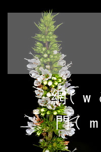 網(wǎng)貸欠多少不會(huì)上門(mén)(網(wǎng)貸欠多少不會(huì)上門(mén))