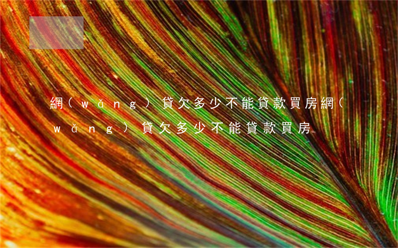網(wǎng)貸欠多少不能貸款買房(網(wǎng)貸欠多少不能貸款買房)