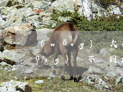 網(wǎng)貸欠多少不還會上門(網(wǎng)貸不還到底會不會上門)