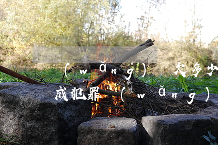 網(wǎng)貸欠多少不還構(gòu)成犯罪(網(wǎng)貸不還什么罪)
