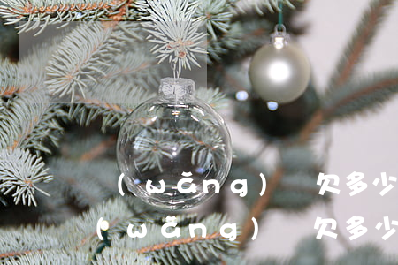 網(wǎng)貸欠多少嚴(yán)重(網(wǎng)貸欠多少嚴(yán)重)