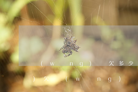 網(wǎng)貸欠多少坐不了飛機(jī)(欠網(wǎng)貸的錢(qián)能坐飛機(jī)嗎)