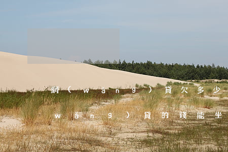 網(wǎng)貸欠多少坐不了飛機(欠網(wǎng)貸的錢能坐飛機嗎)