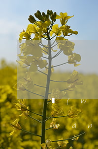 網(wǎng)貸欠多少就貸不出來了(網(wǎng)貸欠款太多還不上怎么辦)