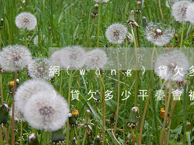 網(wǎng)貸欠多少平臺(網(wǎng)貸欠多少平臺會被起訴)